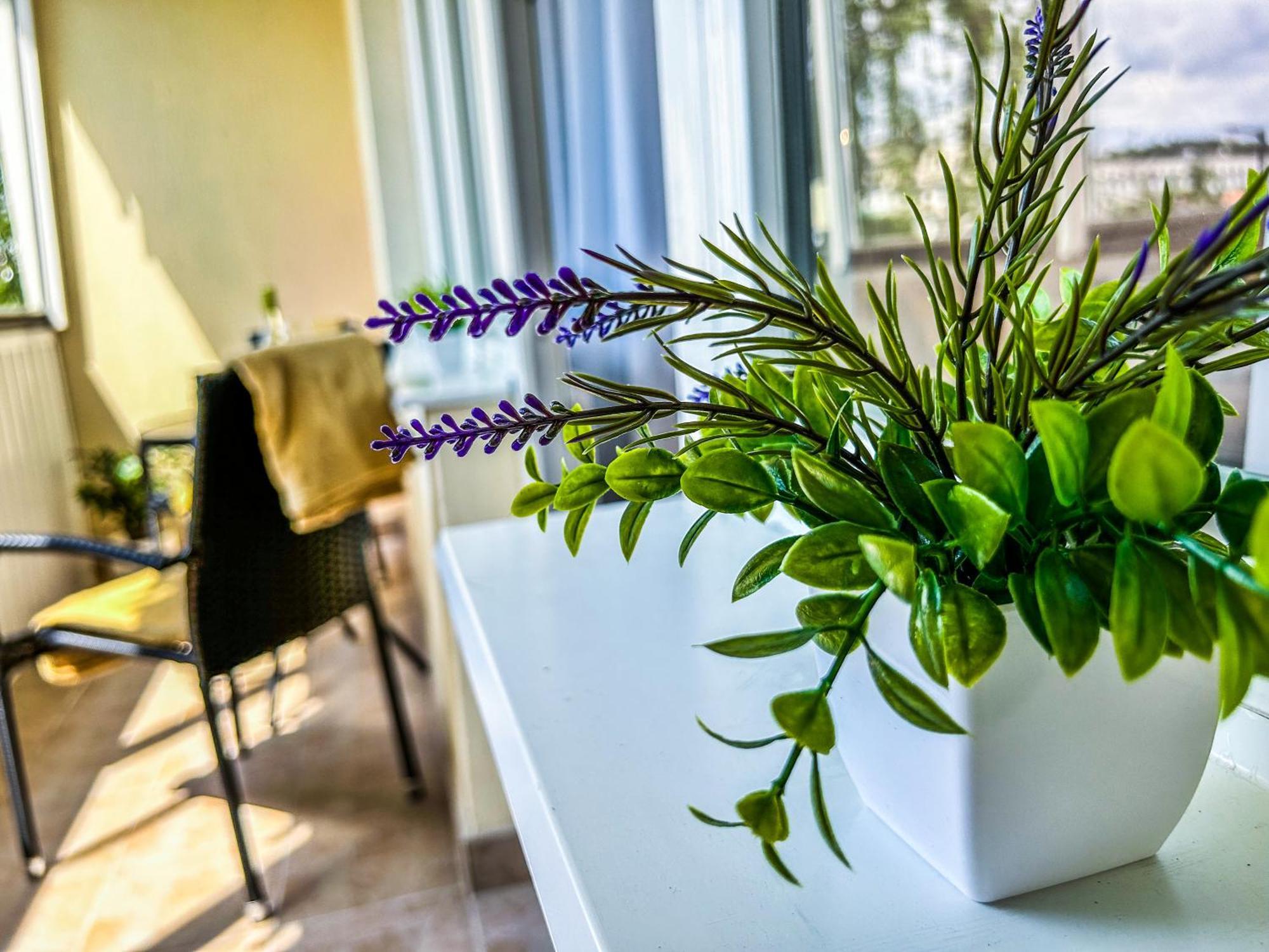 Villa Blue City Apartman Szekszárd Kültér fotó